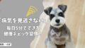 「病気を見逃さない！」飼い主が毎日5分でできる、愛犬の健康チェック習慣！