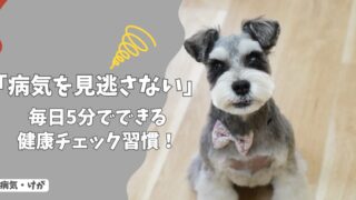 「病気を見逃さない！」飼い主が毎日5分でできる、愛犬の健康チェック習慣！