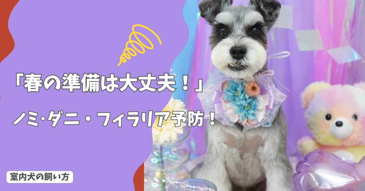 「春の準備は大丈夫？」換毛期のブラッシング術と、ノミ・ダニ・フィラリア予防の落とし穴！