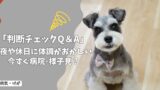夜や休日に犬の体調がおかしい…今すぐ病院？朝まで様子見？【判断チェックQ&A】