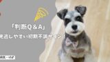 見逃しやすい犬の初期不調サイン｜様子見NG・受診目安【判断Q&A】