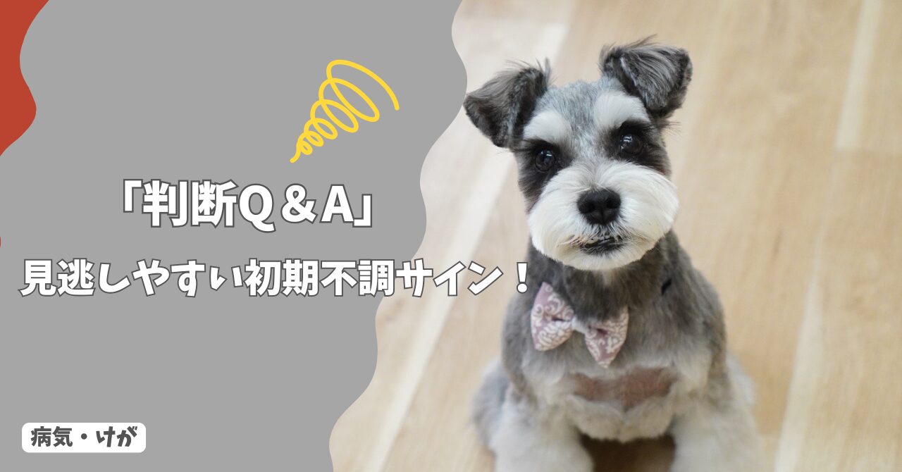 見逃しやすい犬の初期不調サイン｜様子見NG・受診目安【判断Q&A】