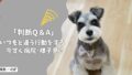 犬がいつもと違う行動をする…様子見で大丈夫？病院に行くべき？【判断Q&A】