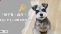 見逃しやすい犬の初期不調サイン｜様子見NG・受診目安！