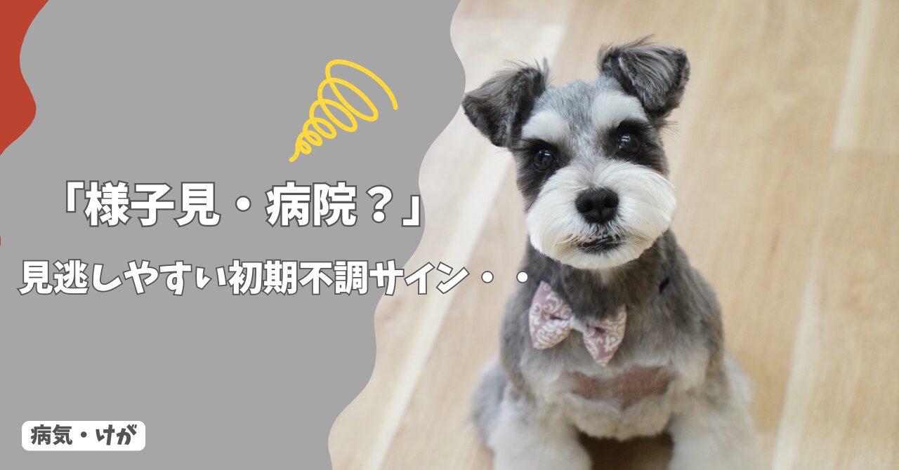 見逃しやすい犬の初期不調サイン｜様子見NG・受診目安！