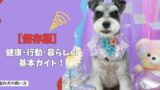 【保存版】犬の豆知識まとめ｜飼い主が知っておきたい「新常識」と基本のキ！