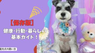 【保存版】犬の豆知識まとめ｜飼い主が知っておきたい「新常識」と基本のキ！
