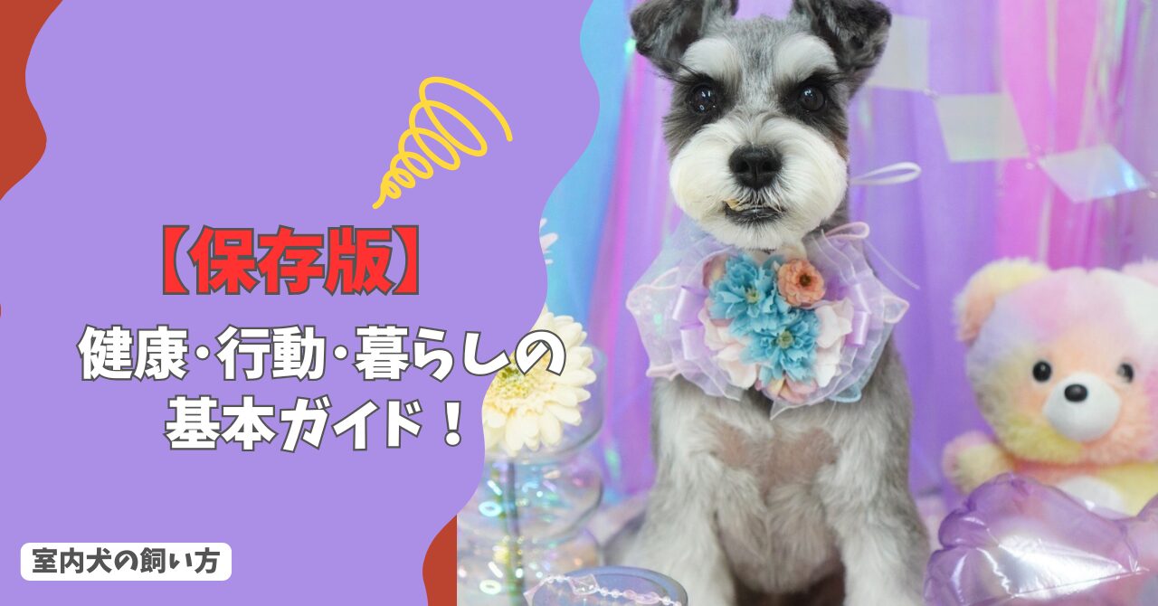 【保存版】犬の豆知識まとめ｜飼い主が知っておきたい「新常識」と基本のキ！