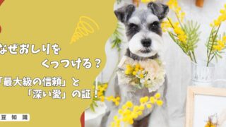なぜ犬はお尻をくっつけてくるの？背中を向けるのは「最大級の信頼」と「深い愛」の証！