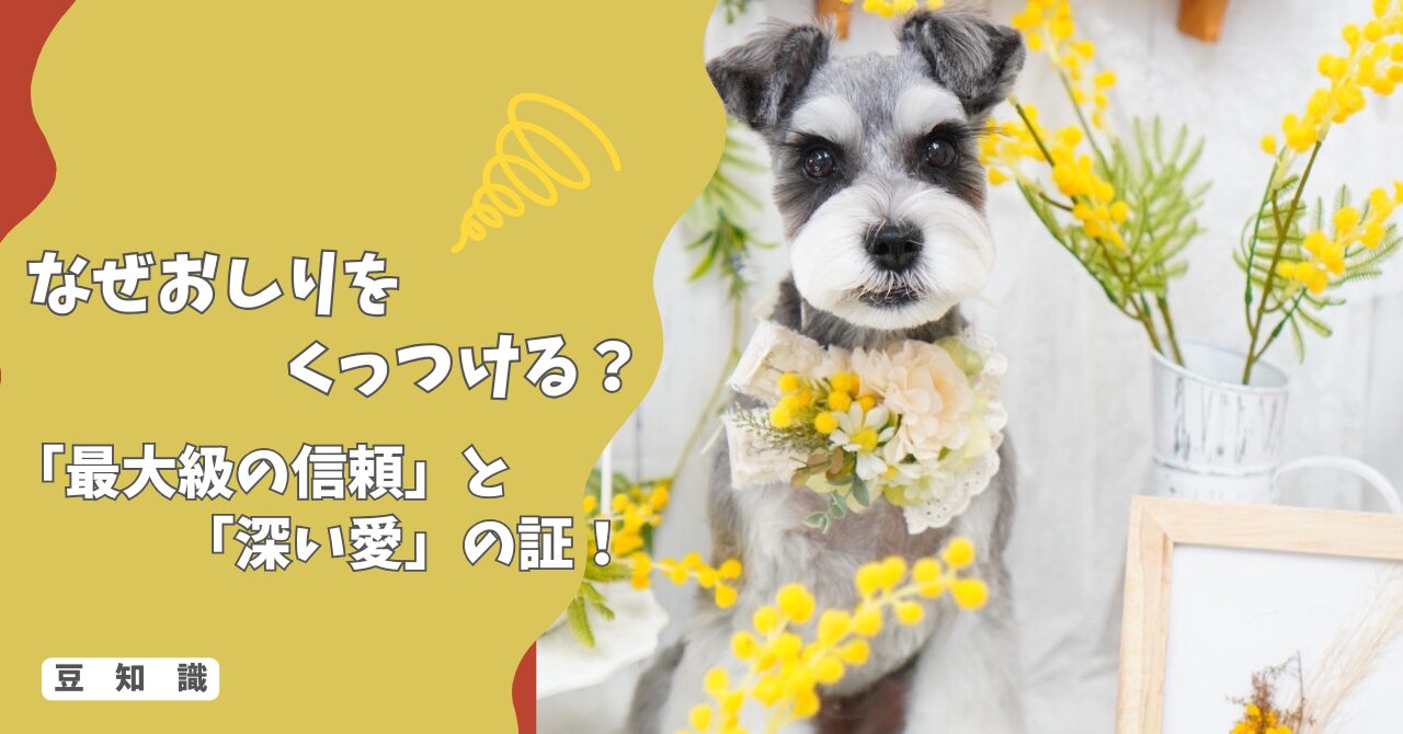 なぜ犬はお尻をくっつけてくるの？背中を向けるのは「最大級の信頼」と「深い愛」の証！