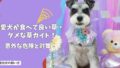 愛犬が食べていい草・ダメな草ガイド｜散歩道の「サラダ」に潜む意外な危険と対策！
