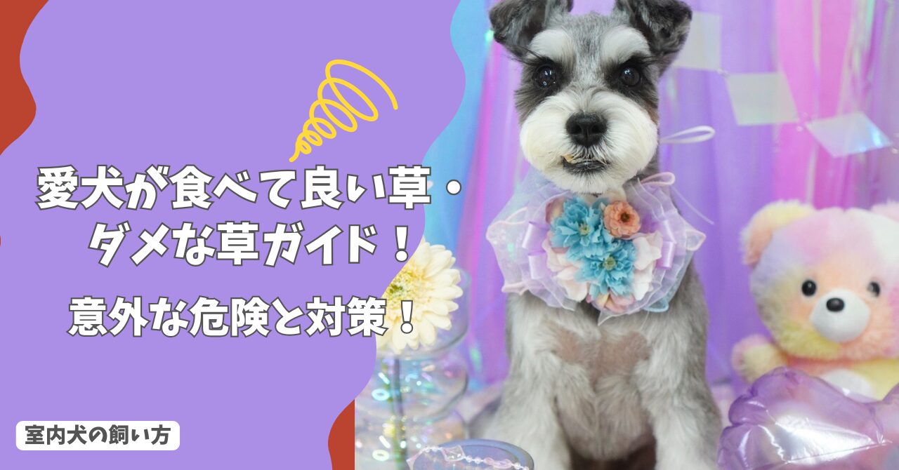 愛犬が食べていい草・ダメな草ガイド｜散歩道の「サラダ」に潜む意外な危険と対策！