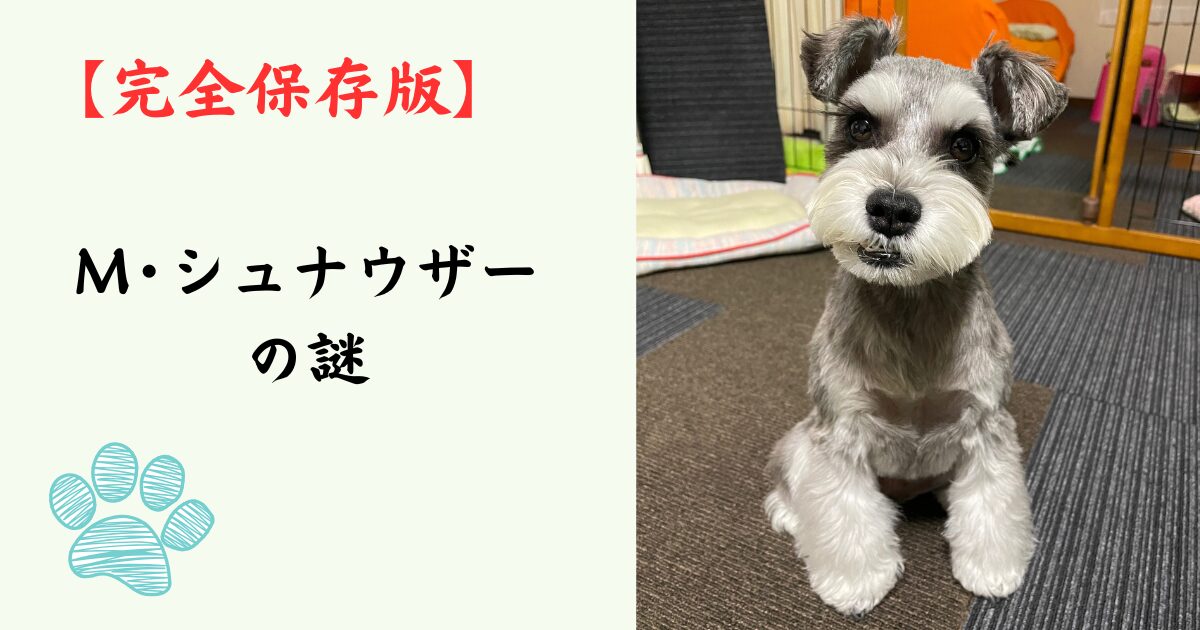 【完全保存版】ミニチュア・シュナウザーの謎：「人間の脳を持つ犬」と呼ばれる知能と、おじいちゃん顔の秘密！