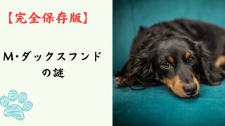【完全保存版】ミニチュア・ダックスフンドの謎：なぜ足が短いの？「地中の格闘家」と呼ばれた誇り高き歴史！