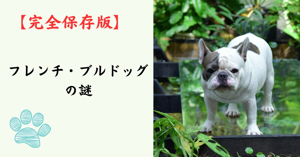 【完全保存版】フレンチ・ブルドッグの謎：パリの貴婦人が愛した「小さな道化師」の正体！
