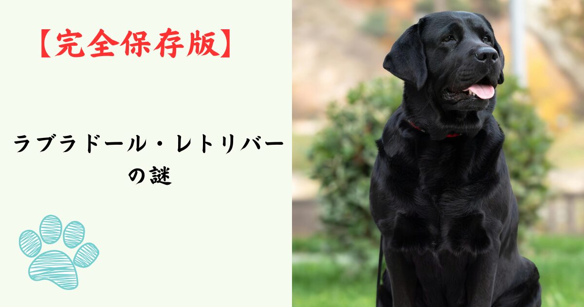 【完全保存版】ラブラドール・レトリバーの謎：なぜ「万能な相棒」なの？驚きの知能と食欲の秘密！