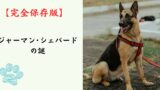 【完全保存版】ジャーマン・シェパードの謎：なぜ「万能」なの？強靭な体と繊細なハートを持つ守護者！