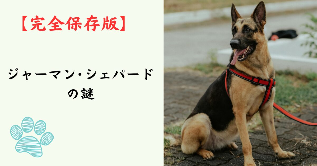 【完全保存版】ジャーマン・シェパードの謎：なぜ「万能」なの？強靭な体と繊細なハートを持つ守護者！