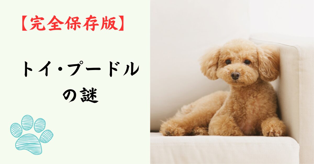 【完全保存版】トイ・プードルの謎：ぬいぐるみのような姿に隠された「超一流アスリート」の正体！