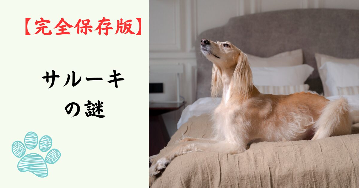 【完全保存版】サルーキの謎：なぜ「生きた芸術品」なの？砂漠の王者が持つ気高い精神とスピード！
