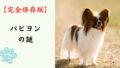 【完全保存版】パピヨンの謎：美しき「蝶」の正体は、IQ高めのスポーツマン！？