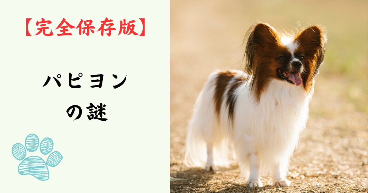 【完全保存版】パピヨンの謎：美しき「蝶」の正体は、IQ高めのスポーツマン！？