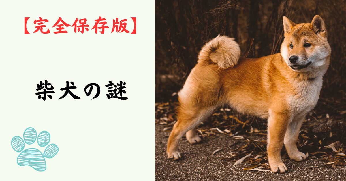 【完全保存版】柴犬の謎：DNAはオオカミに一番近い！？「野生の誇り」が作った唯一無二の魅力と秘密！