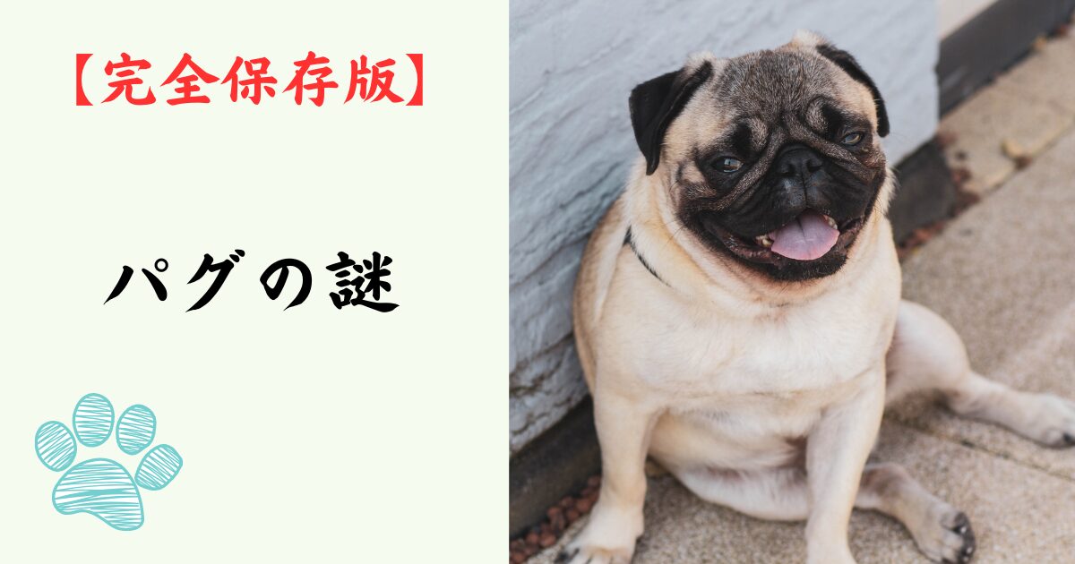 【完全保存版】パグの謎：なぜこんなに愛おしい？「哲学者」のような顔に隠されたユーモアの魂！