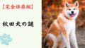 【完全保存版】秋田犬の謎：なぜ世界中が恋をする？「忠犬ハチ公」のルーツと誇り高き精神！