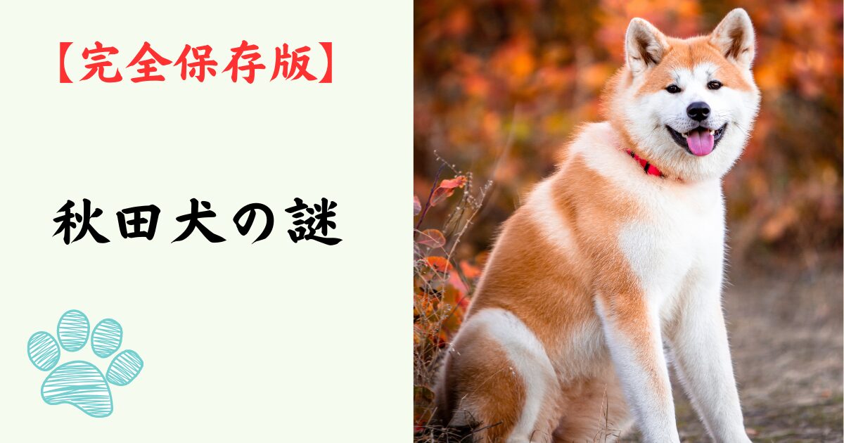 【完全保存版】秋田犬の謎：なぜ世界中が恋をする？「忠犬ハチ公」のルーツと誇り高き精神！