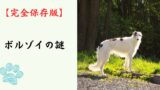 【完全保存版】ボルゾイの謎：なぜ「ロシアの貴族」と呼ばれるの？　美しき俊足ランナーが隠し持つ、驚きの身体能力と繊細な心！
