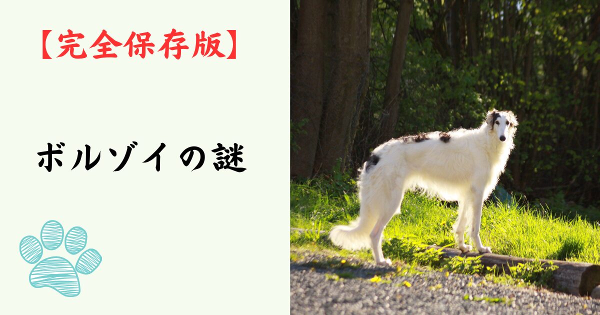 【完全保存版】ボルゾイの謎：なぜ「ロシアの貴族」と呼ばれるの？　美しき俊足ランナーが隠し持つ、驚きの身体能力と繊細な心！