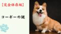 【完全保存版】コーギーの謎：なぜ「食いしん坊な牧羊犬」なの？　短い脚に秘められた驚きのパワーと、腰を守るための心得！
