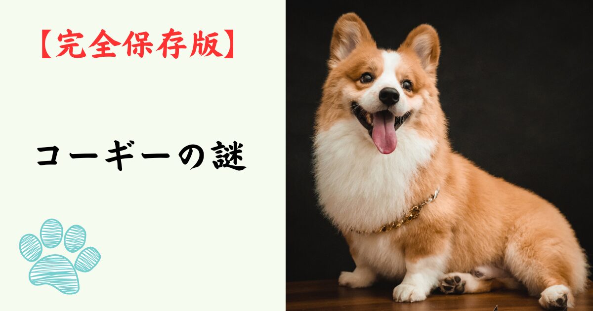 【完全保存版】コーギーの謎：なぜ「食いしん坊な牧羊犬」なの？　短い脚に秘められた驚きのパワーと、腰を守るための心得！