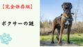【完全保存版】ボクサーの謎：なぜ「おどけ者」なの？　強面な外見に隠された、情熱的でユーモア溢れる素顔！