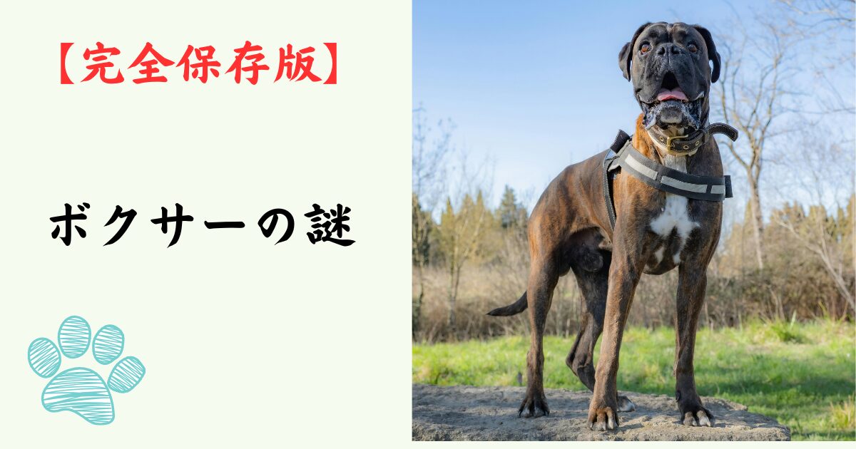 【完全保存版】ボクサーの謎：なぜ「おどけ者」なの？　強面な外見に隠された、情熱的でユーモア溢れる素顔！
