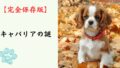 【完全保存版】キャバリアの謎：なぜ「究極の癒やし犬」なの？　イギリス貴族に愛された「騎士」の気品と、心優しい素顔！