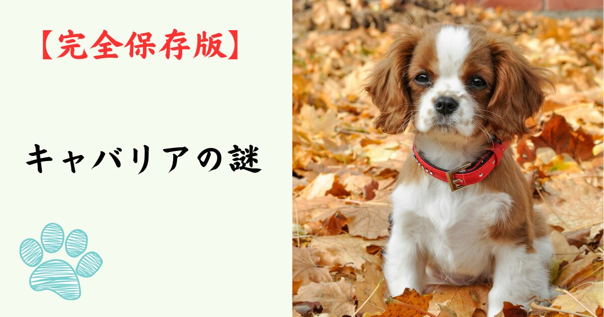 【完全保存版】キャバリアの謎：なぜ「究極の癒やし犬」なの？　イギリス貴族に愛された「騎士」の気品と、心優しい素顔！