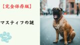 【完全保存版】マスティフの謎：なぜ「番犬の王様」なの？　100kgを超える巨体に秘められた、慈愛に満ちた守護者の素顔！
