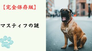 【完全保存版】マスティフの謎：なぜ「番犬の王様」なの？　100kgを超える巨体に秘められた、慈愛に満ちた守護者の素顔！