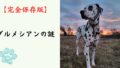 【完全保存版】ダルメシアンの謎：なぜ「水玉模様」なの？　馬車と共に駆け抜けた、驚異のアスリート犬の素顔！