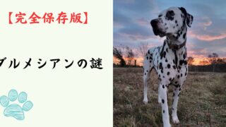 【完全保存版】ダルメシアンの謎：なぜ「水玉模様」なの？　馬車と共に駆け抜けた、驚異のアスリート犬の素顔！