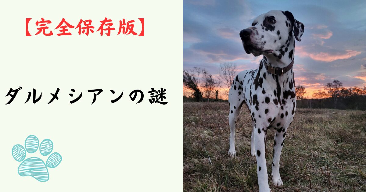 【完全保存版】ダルメシアンの謎：なぜ「水玉模様」なの？　馬車と共に駆け抜けた、驚異のアスリート犬の素顔！