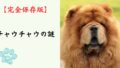 【完全保存版】チャウチャウの謎：なぜ「舌が青黒い」の？　ライオンのような巨体に秘められた、高潔でクールな素顔！