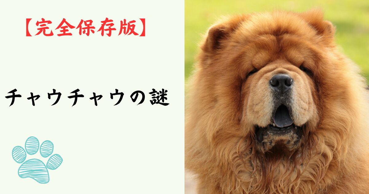 【完全保存版】チャウチャウの謎：なぜ「舌が青黒い」の？　ライオンのような巨体に秘められた、高潔でクールな素顔！