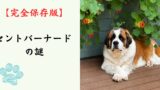 【完全保存版】セントバーナードの謎：なぜ「アルプスの救助犬」なの？　2500人を救った「優しい巨人」の真実と、幸せに暮らす覚悟！