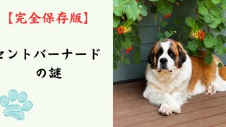 【完全保存版】セントバーナードの謎：なぜ「アルプスの救助犬」なの？　2500人を救った「優しい巨人」の真実と、幸せに暮らす覚悟！
