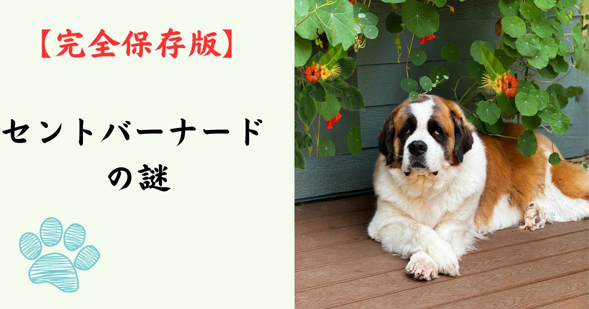 【完全保存版】セントバーナードの謎：なぜ「アルプスの救助犬」なの？　2500人を救った「優しい巨人」の真実と、幸せに暮らす覚悟！