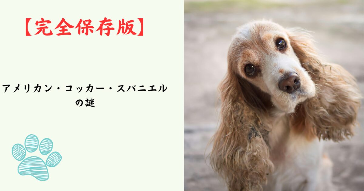 【完全保存版】アメリカン・コッカー・スパニエルの謎：なぜ「メリー（陽気）」なの？　豪華な被毛に隠された、情熱的なハンターの素顔！
