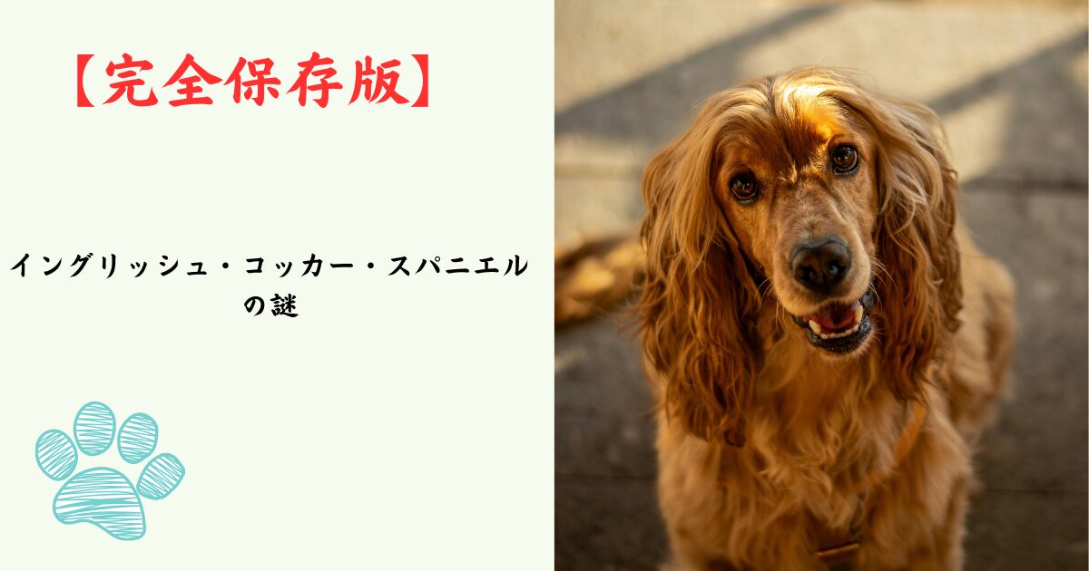 【完全保存版】イングリッシュ・コッカー・スパニエルの謎：なぜ「万能な猟犬」なの？力強い骨格に秘められた、情熱的なハンターの素顔！